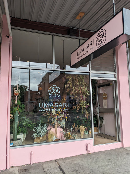 This image shows the shopfront of Umasari Florist in Thornbury, Melbourne, with a pink exterior and large windows displaying flowers, indoor plants, and gifts. The modern design and signage create an inviting presence.