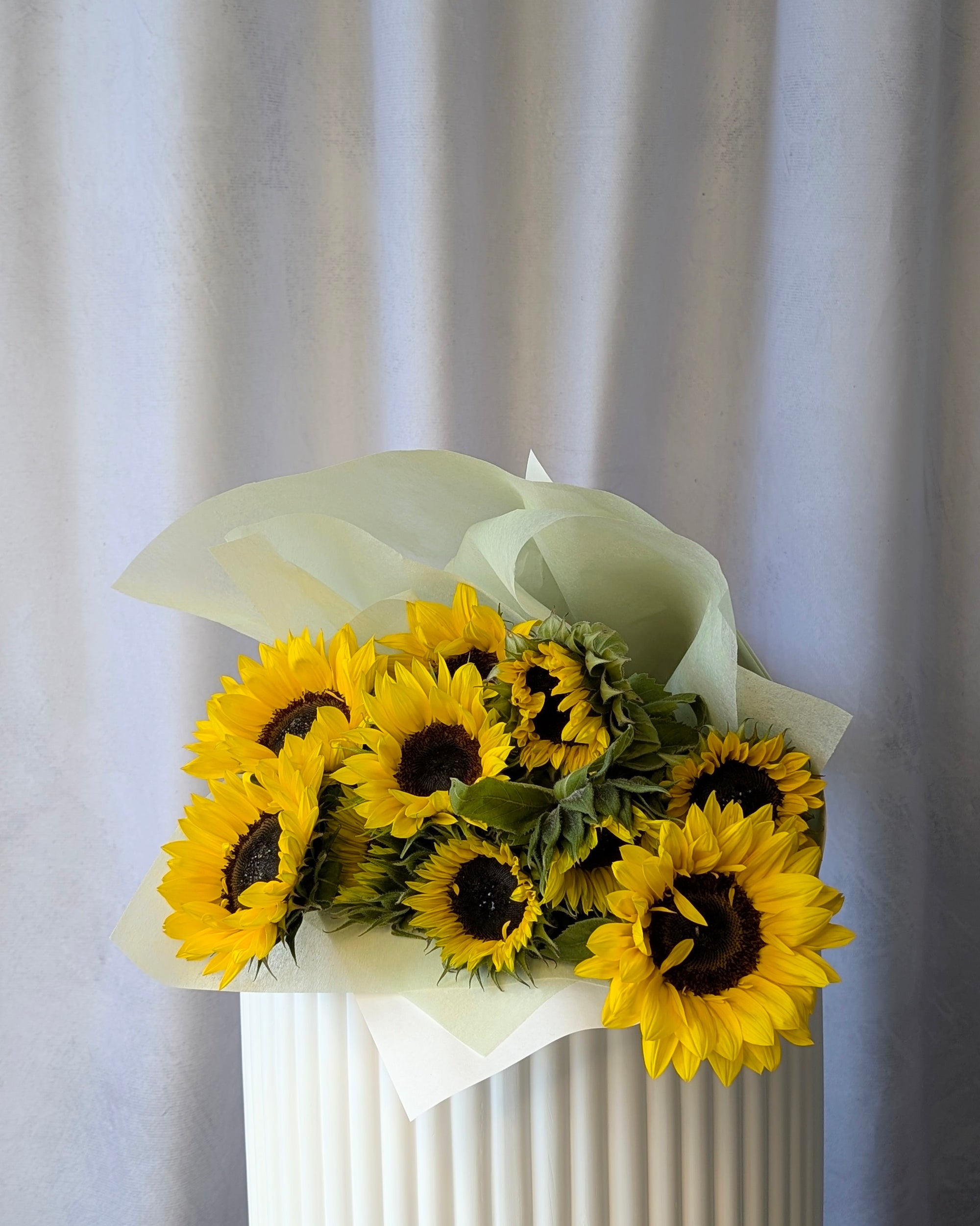 Bouquet of sunflowers wrapped in white paper against a light grey curtain background for delivery in Melbourne