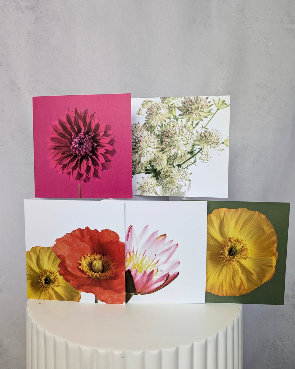 Greeting Cards